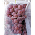 Hot Sell Fresh Sweet Red Grapes